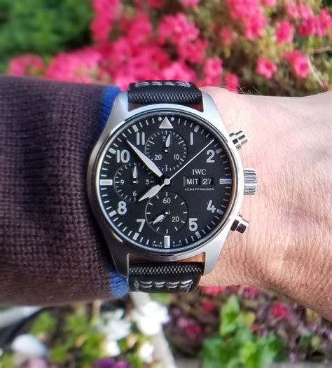 iwc pilot chronograph review.